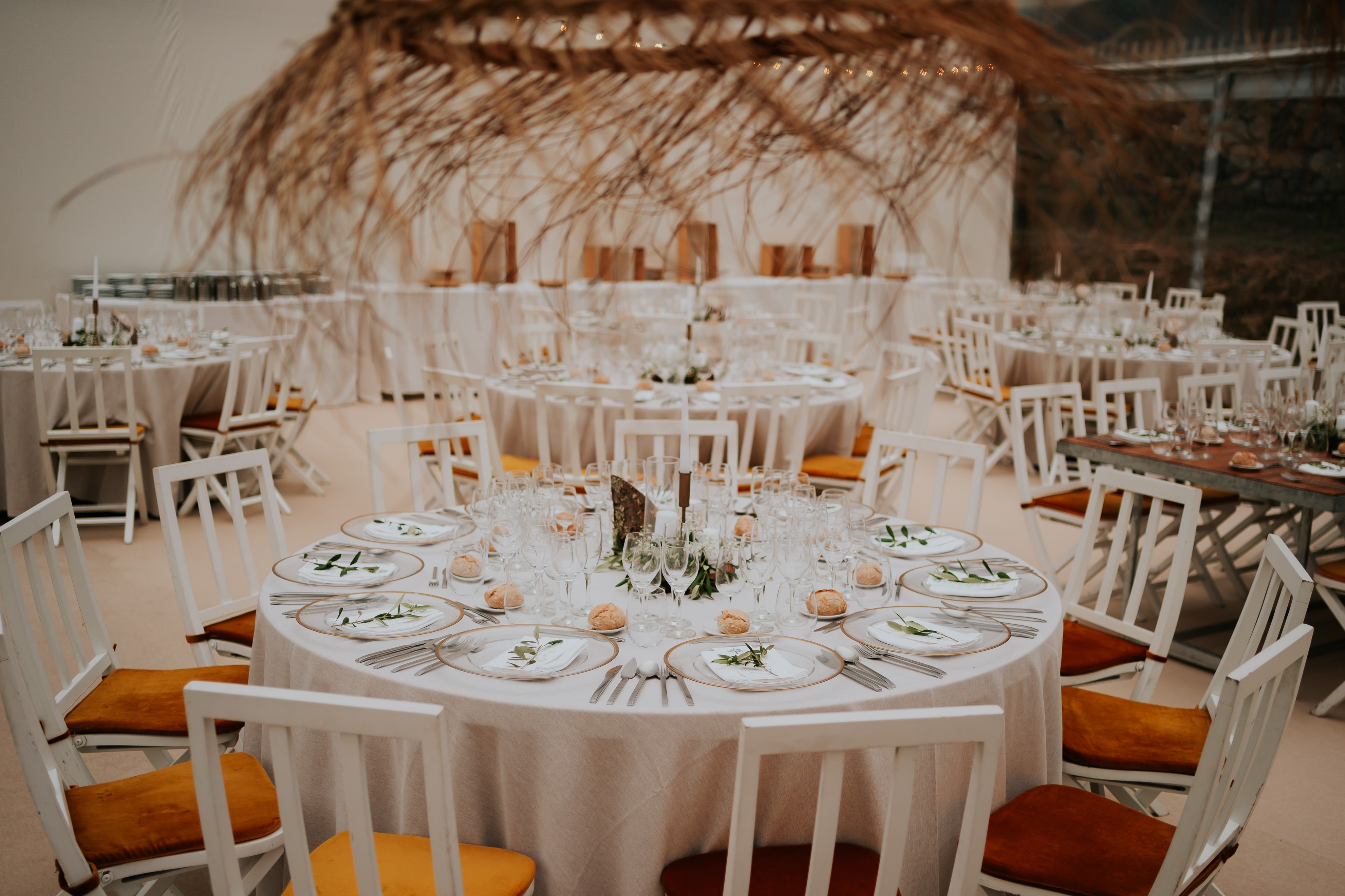 Romana Pereira - Plant Based Weddings