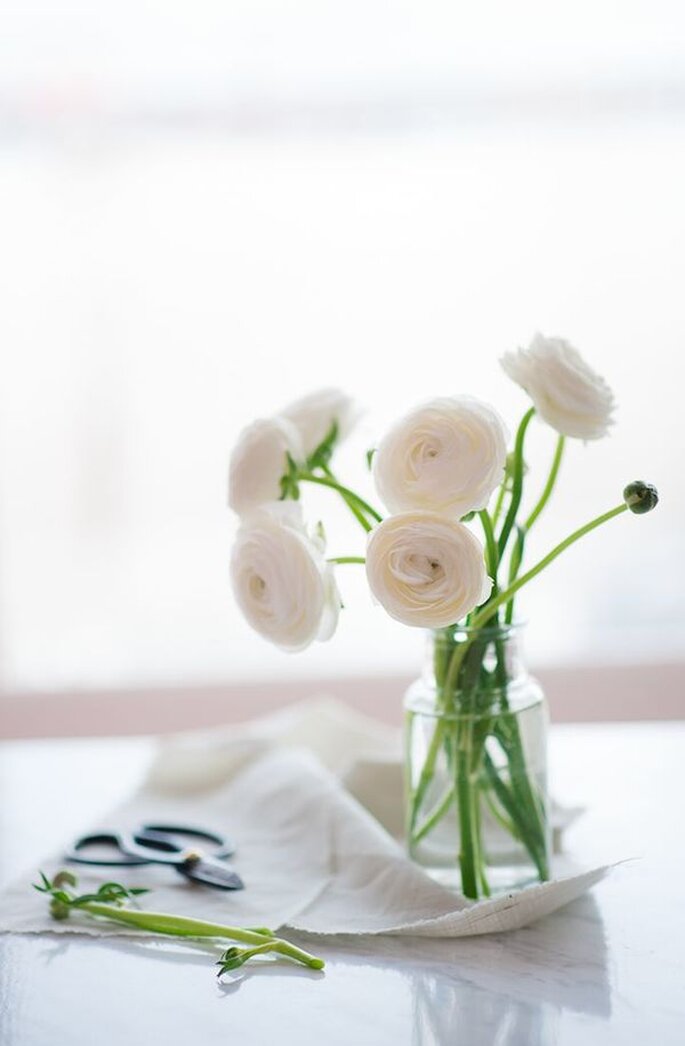 Cereja Weddings