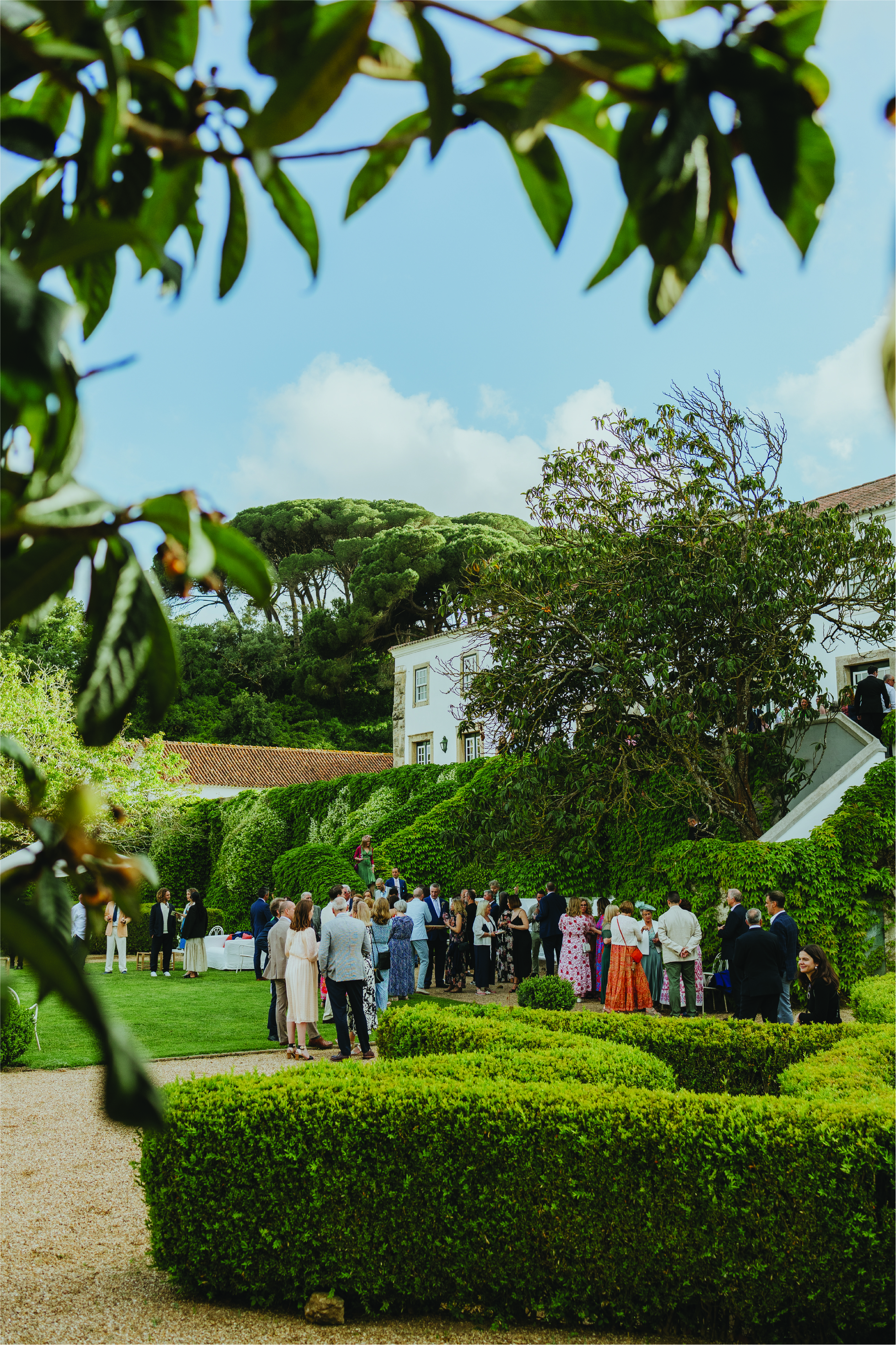 Quinta D. Carlos I: a portrait in cedar, stone and orange blossom