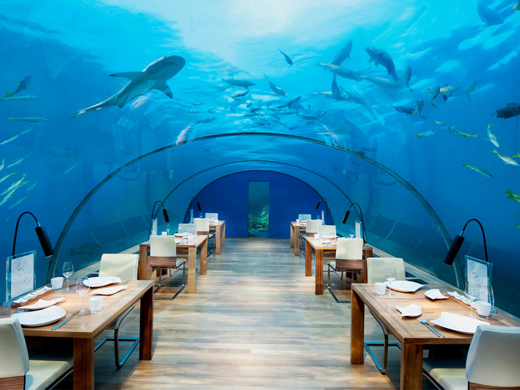 No local, embarcaram num iate onde passaram grande parte da lua-de-mel, que os levou tamb´m a uma ilha secreta. Consta-se que jantaram num restaurante debaixo de água. Foto apenas ilustrativa de um restaurante debaixo de água: Ithaa Restaurant