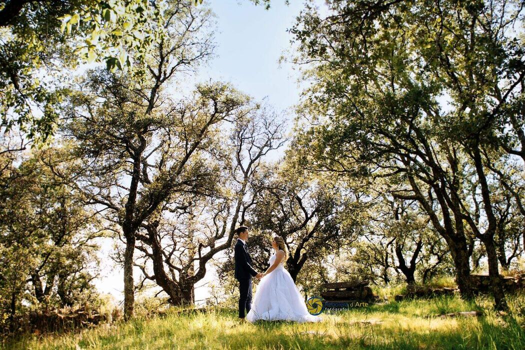 Fotografia de Casamento