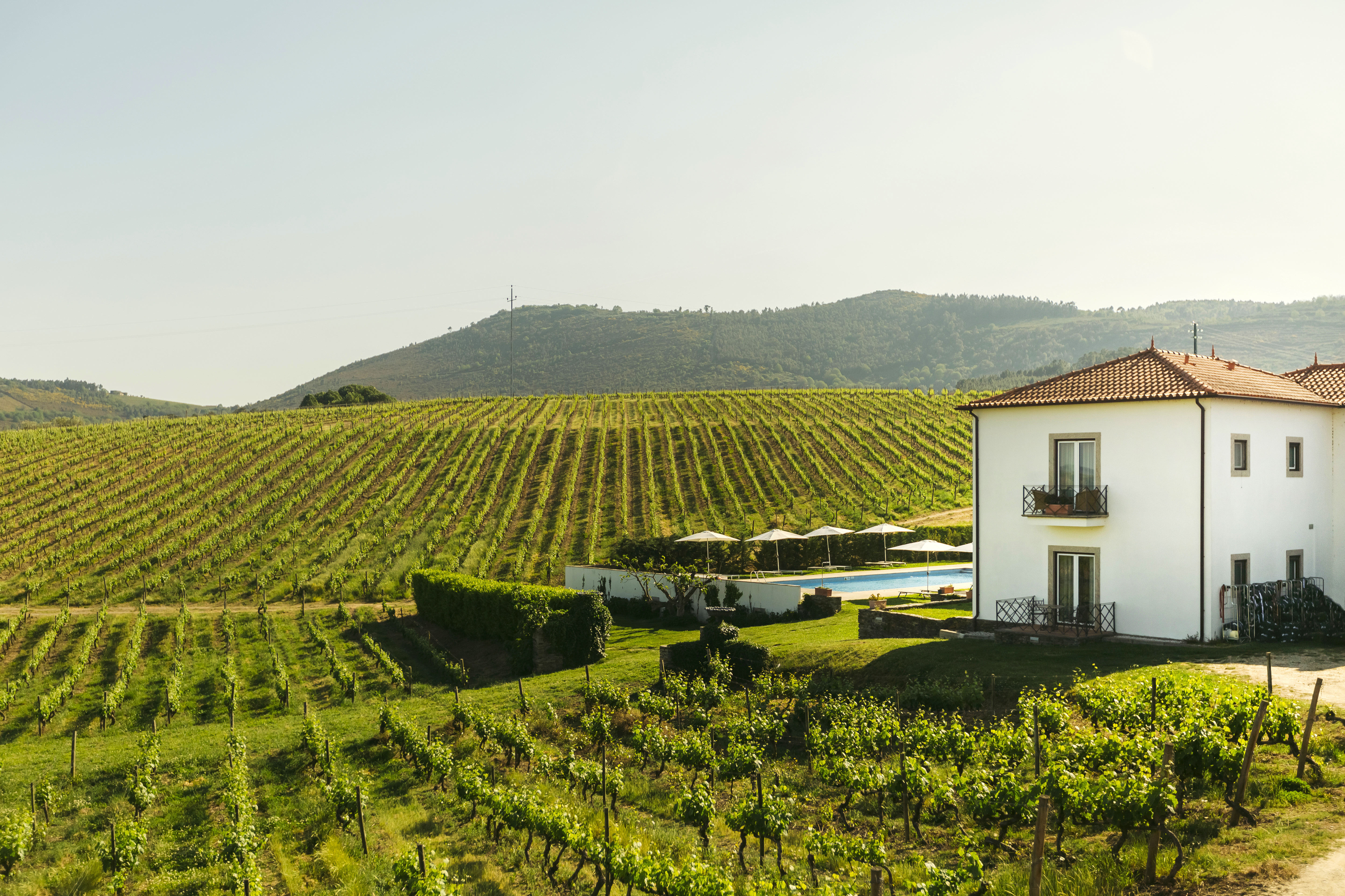 The Manor House Celeirós