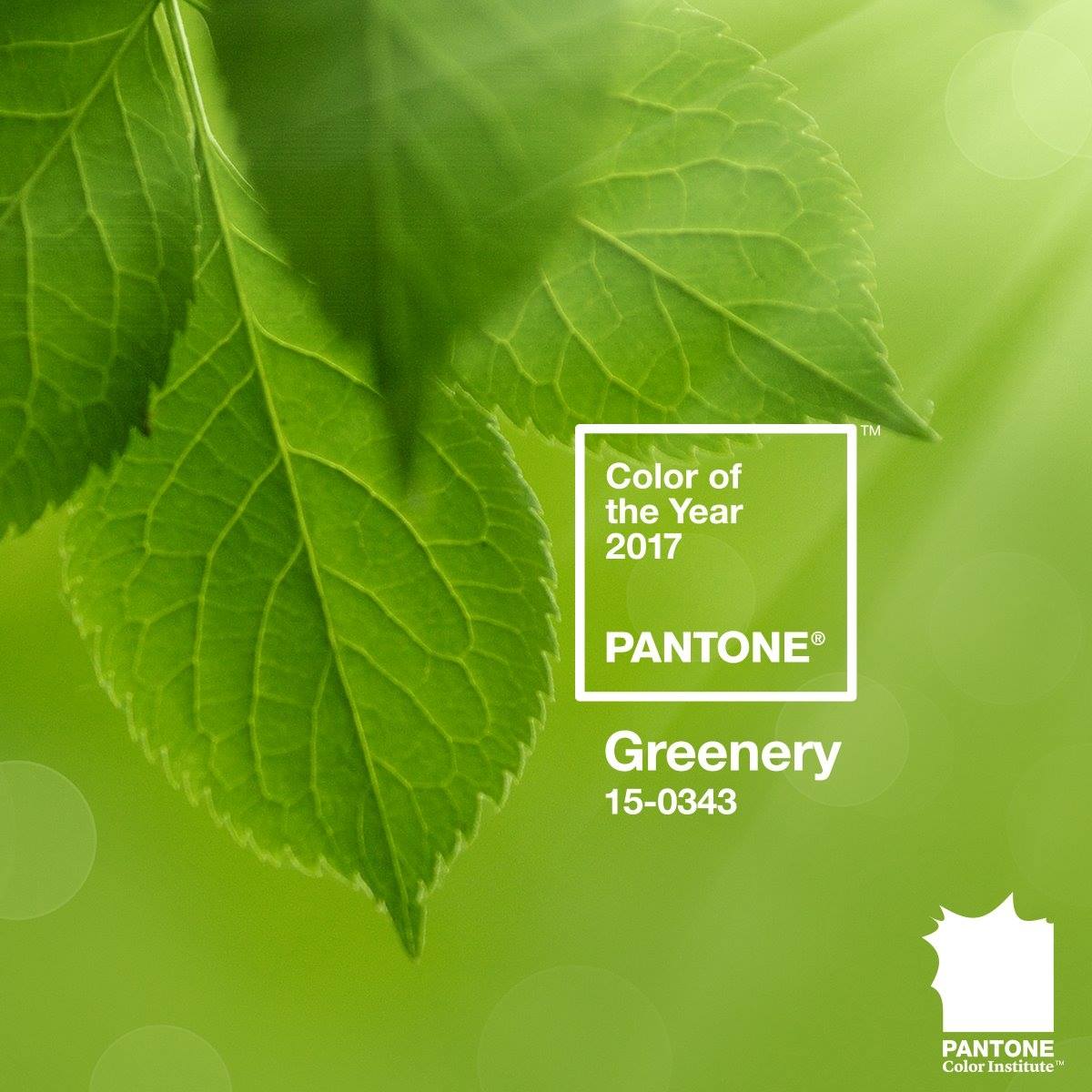 Pantone