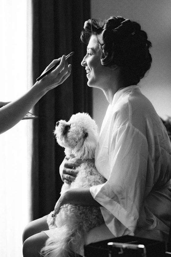 Pet of Honor - Wedding Pet Service