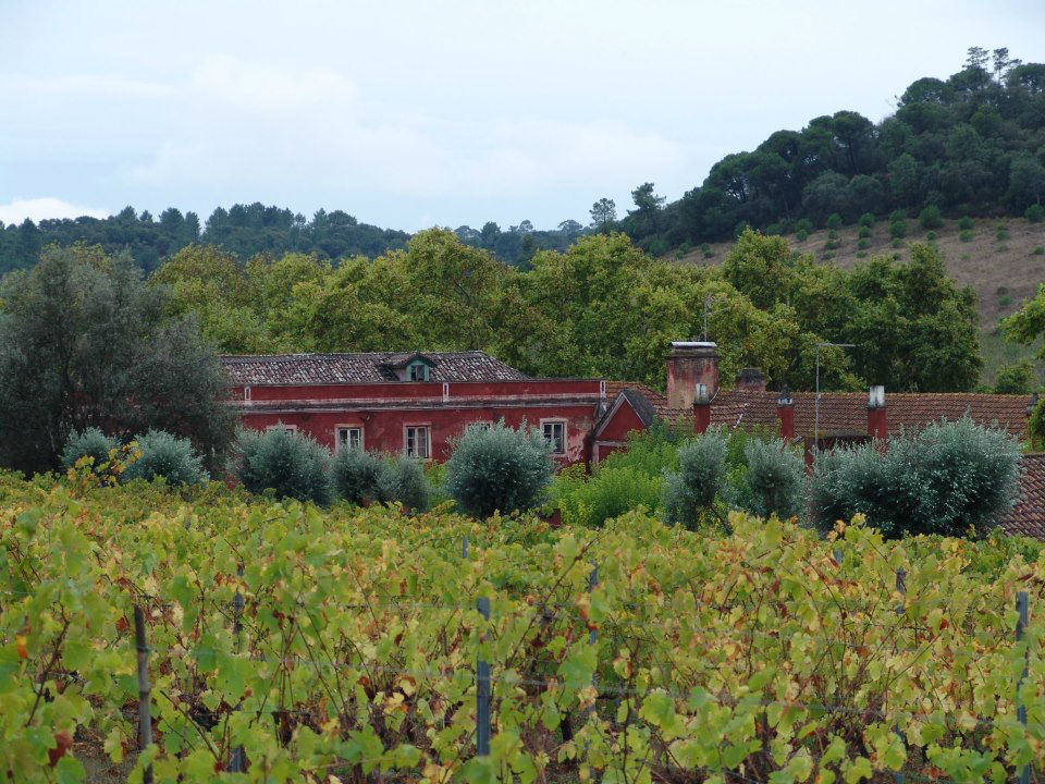Quinta Vale de Fornos