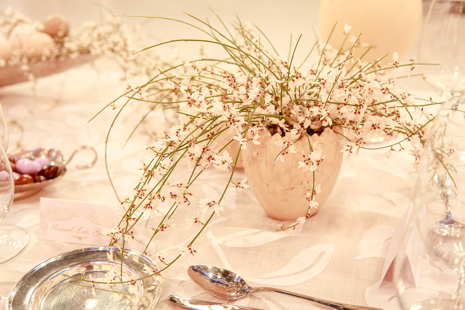 Guilherme do Vale - Interiores & Eventos
