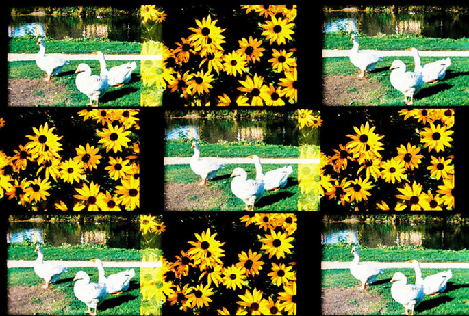 Foto Flickr Lomo Pop9