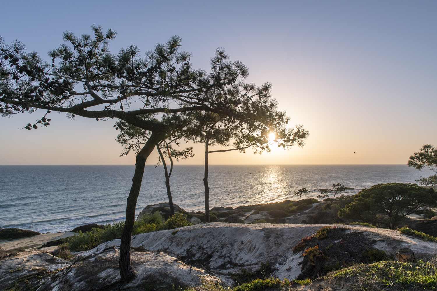 W Algarve
