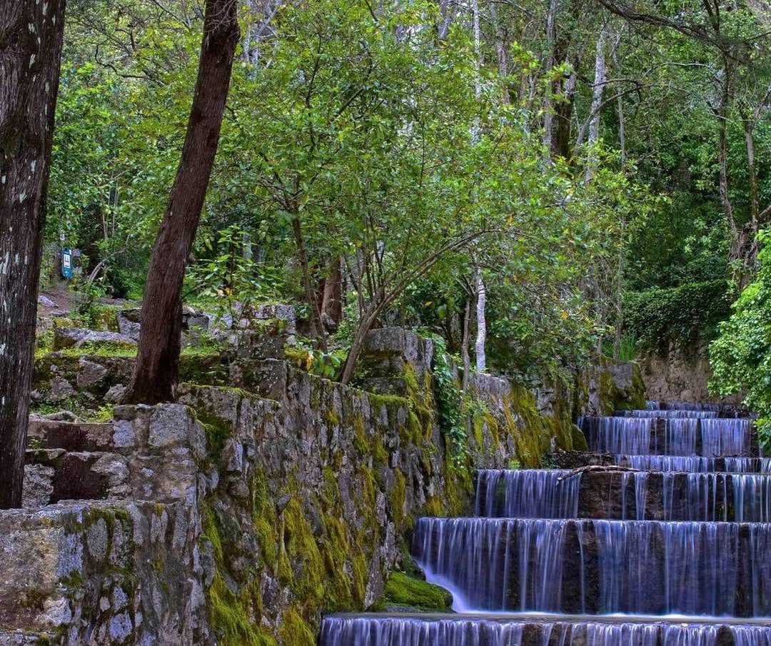 Villa Termal Caldas de Monchique Spa Resort