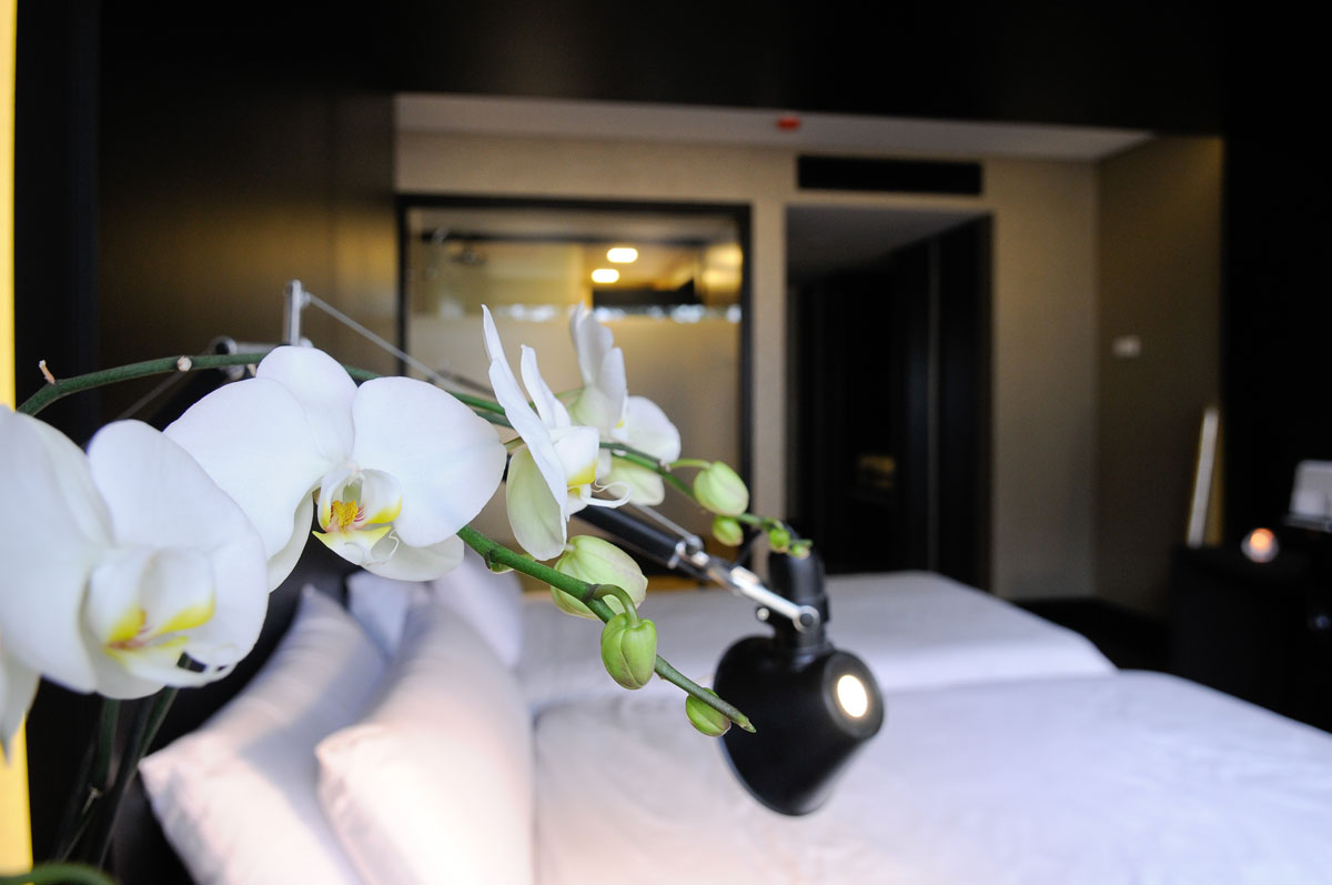 Evidencia Belverde Atitude Hotel