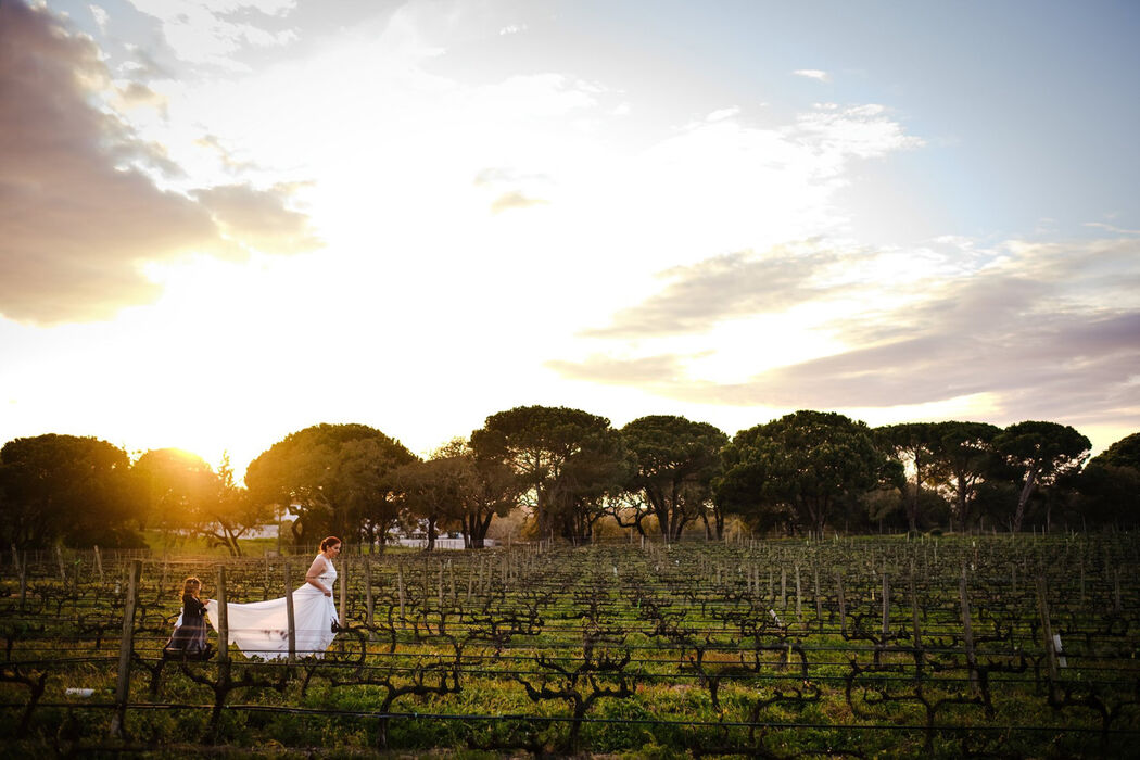 Fotografia de Casamento