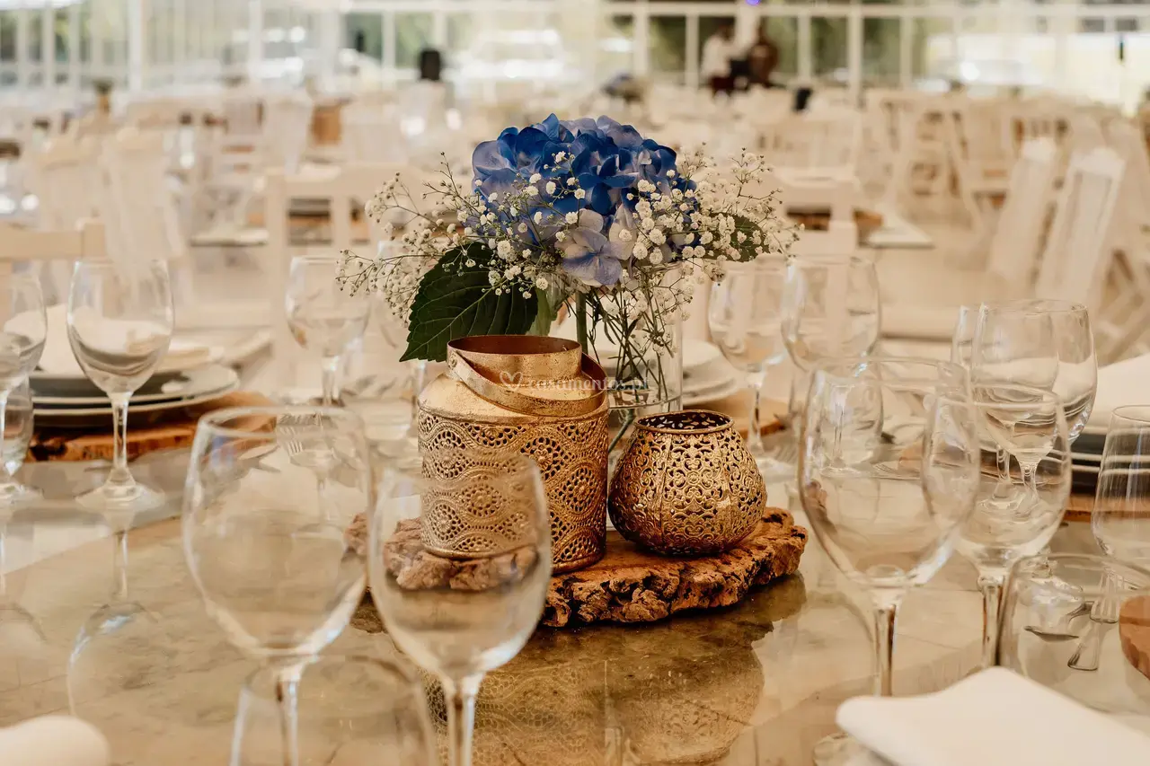 Quinta do Grilo - Grupo Grilo