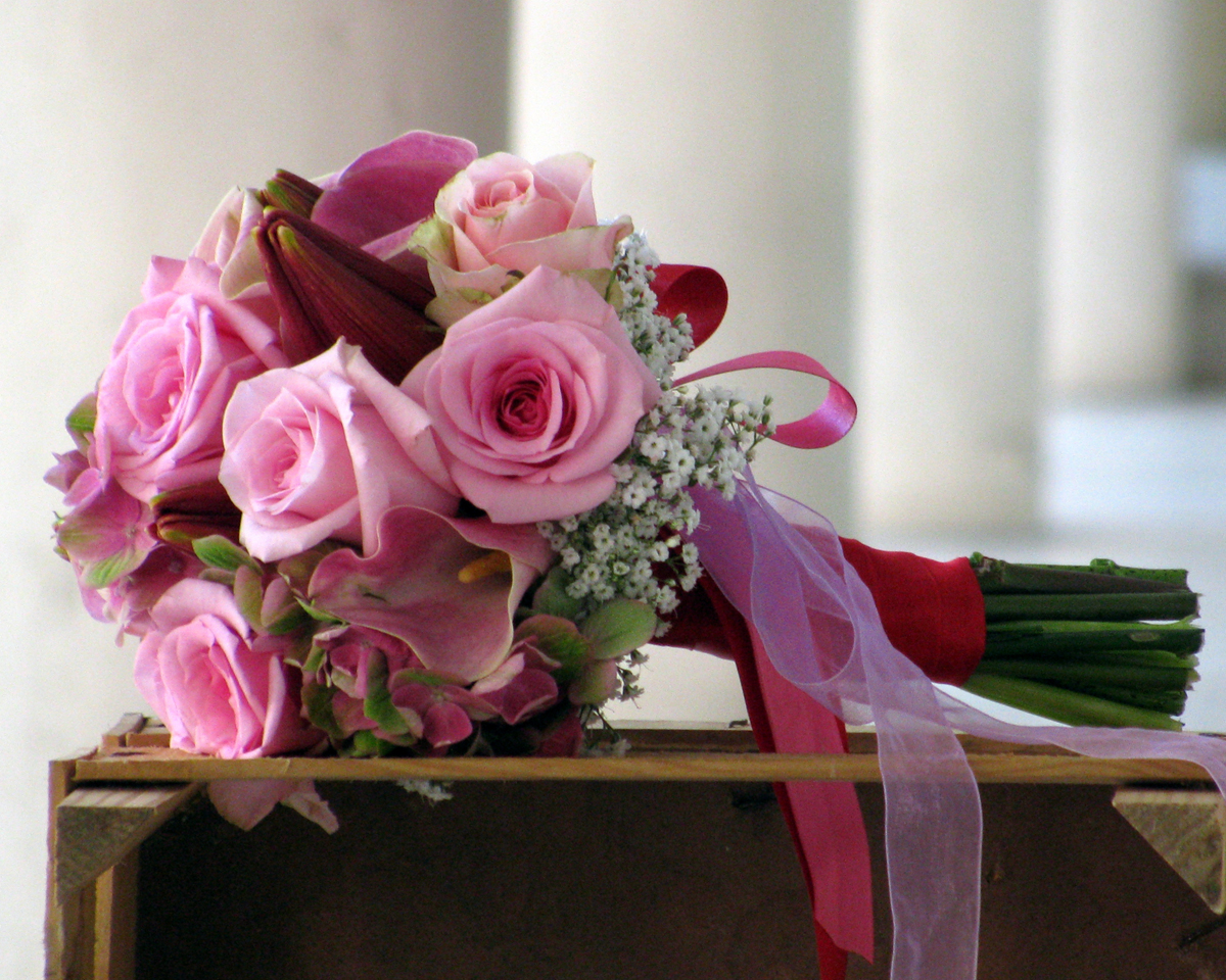 All Flowers