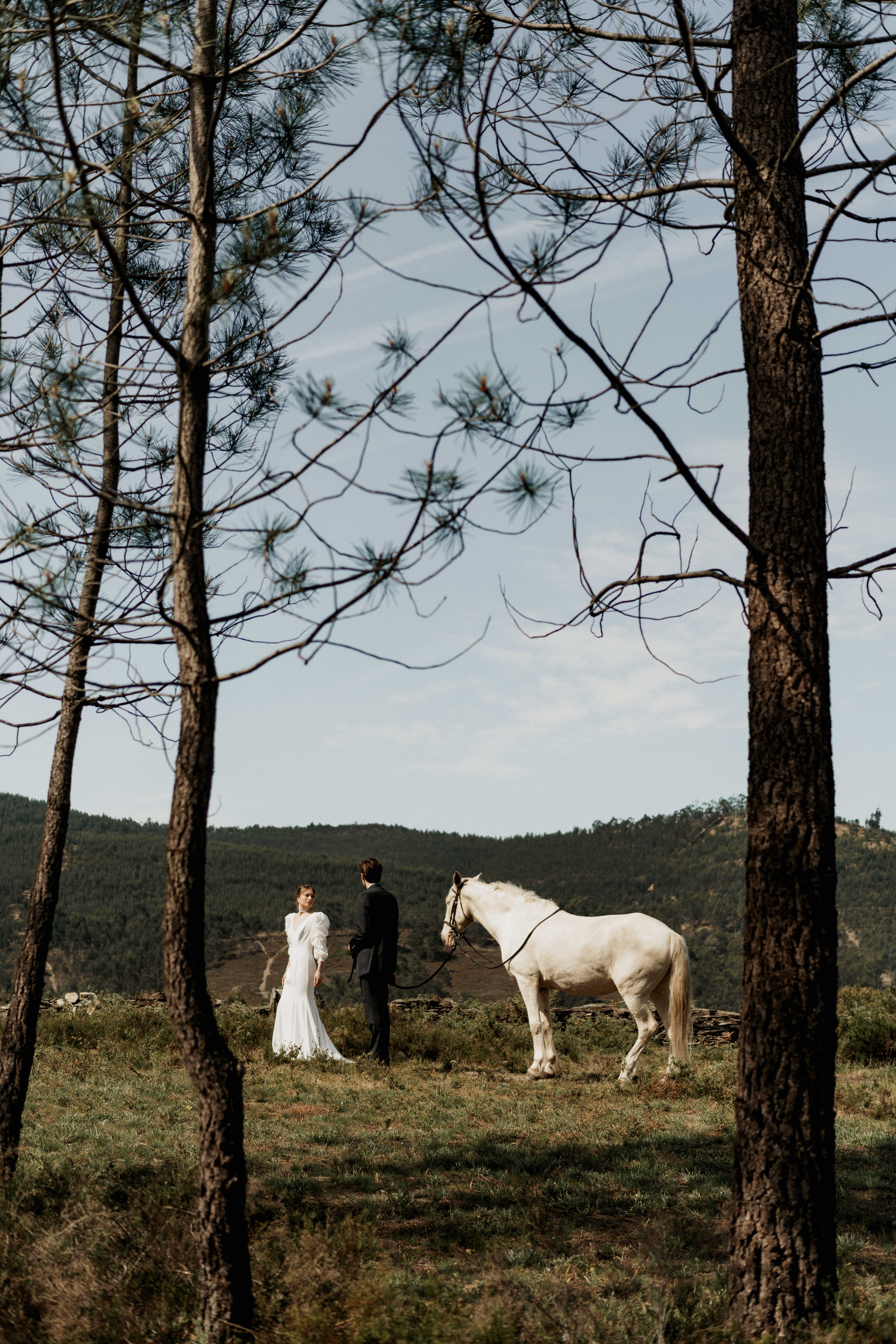 Untamed Love