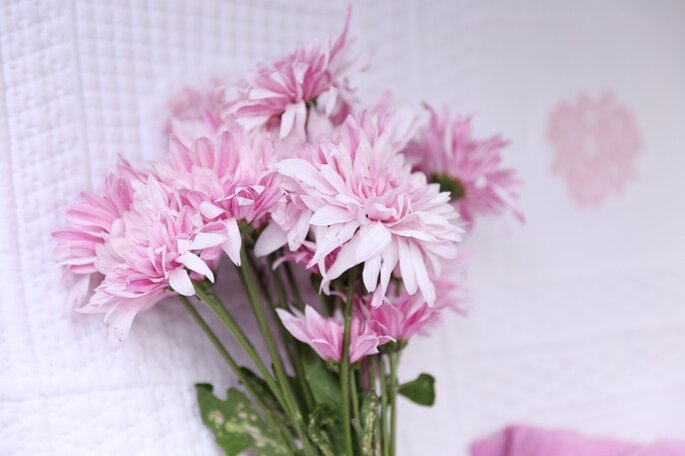 Love and Thanks