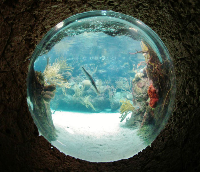 Exploratours -  Riviera Maya