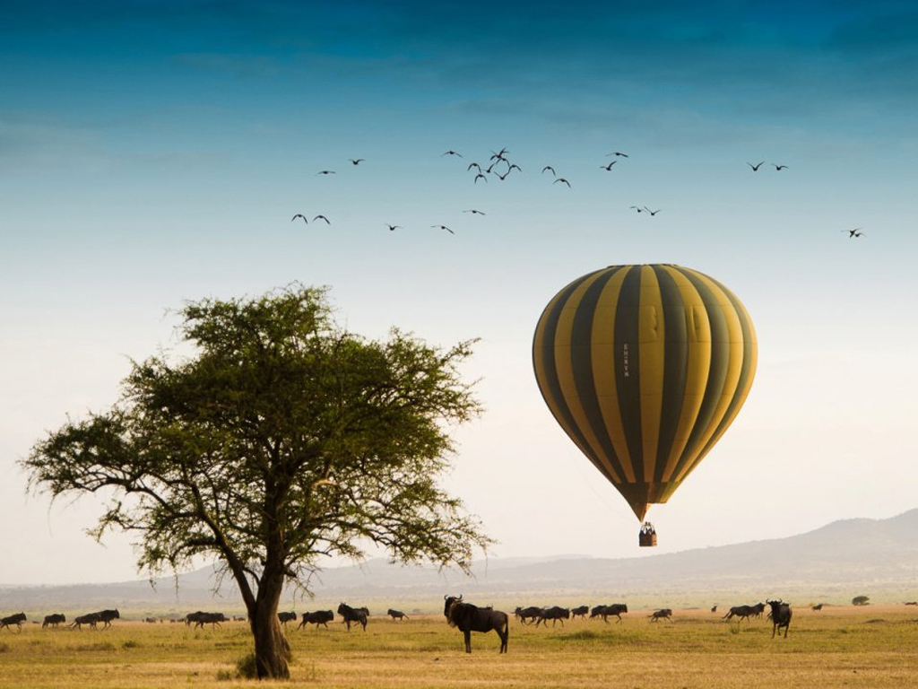 Os recém-casados ficaram no luxuoso Singita Faru Faru Lodge , em Grumeti, onde puderam usufruir de uma Reserva privada, passeios de balão de ar quente e passeios 4x4.  Foto: Singita Faru Faru Lodge