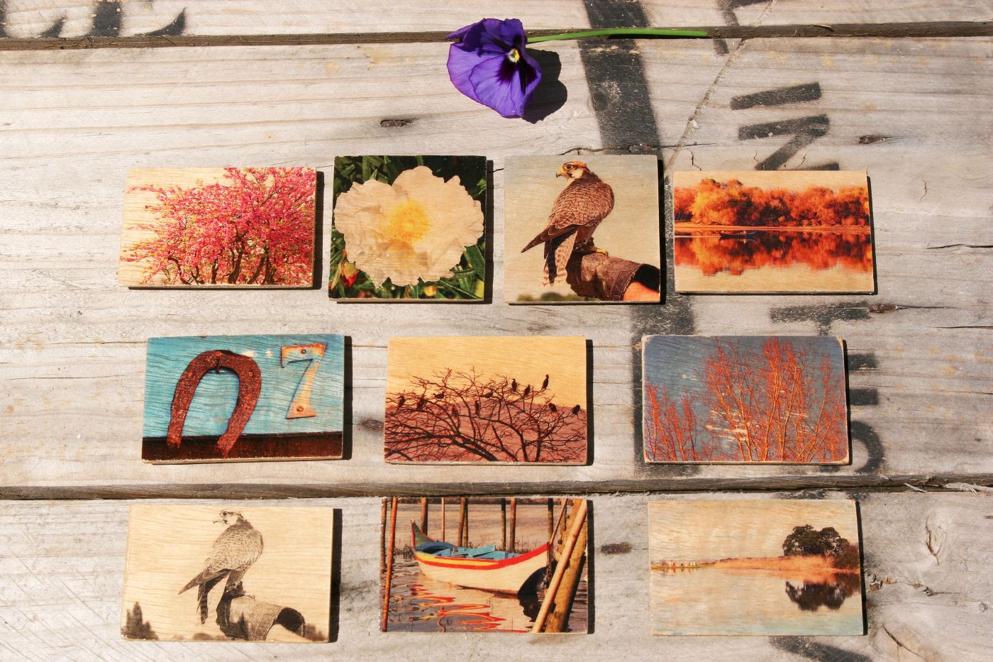 PAW - Photo Art & Wood
