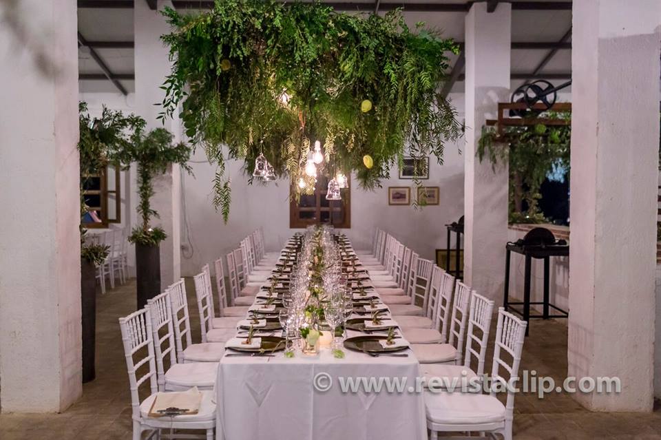 Beatriz Arte Floral
