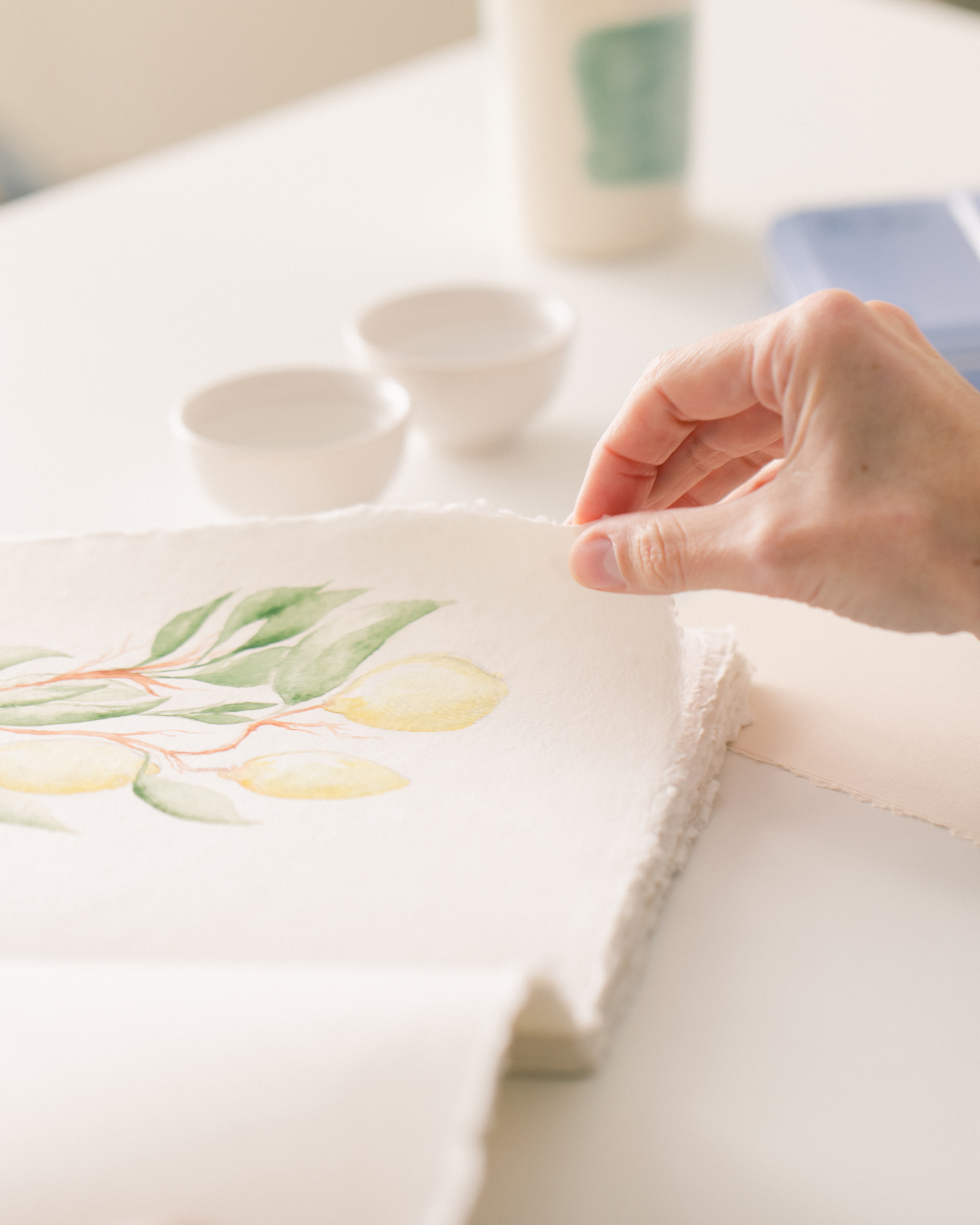 A PAJARITA | Bespoke Stationery