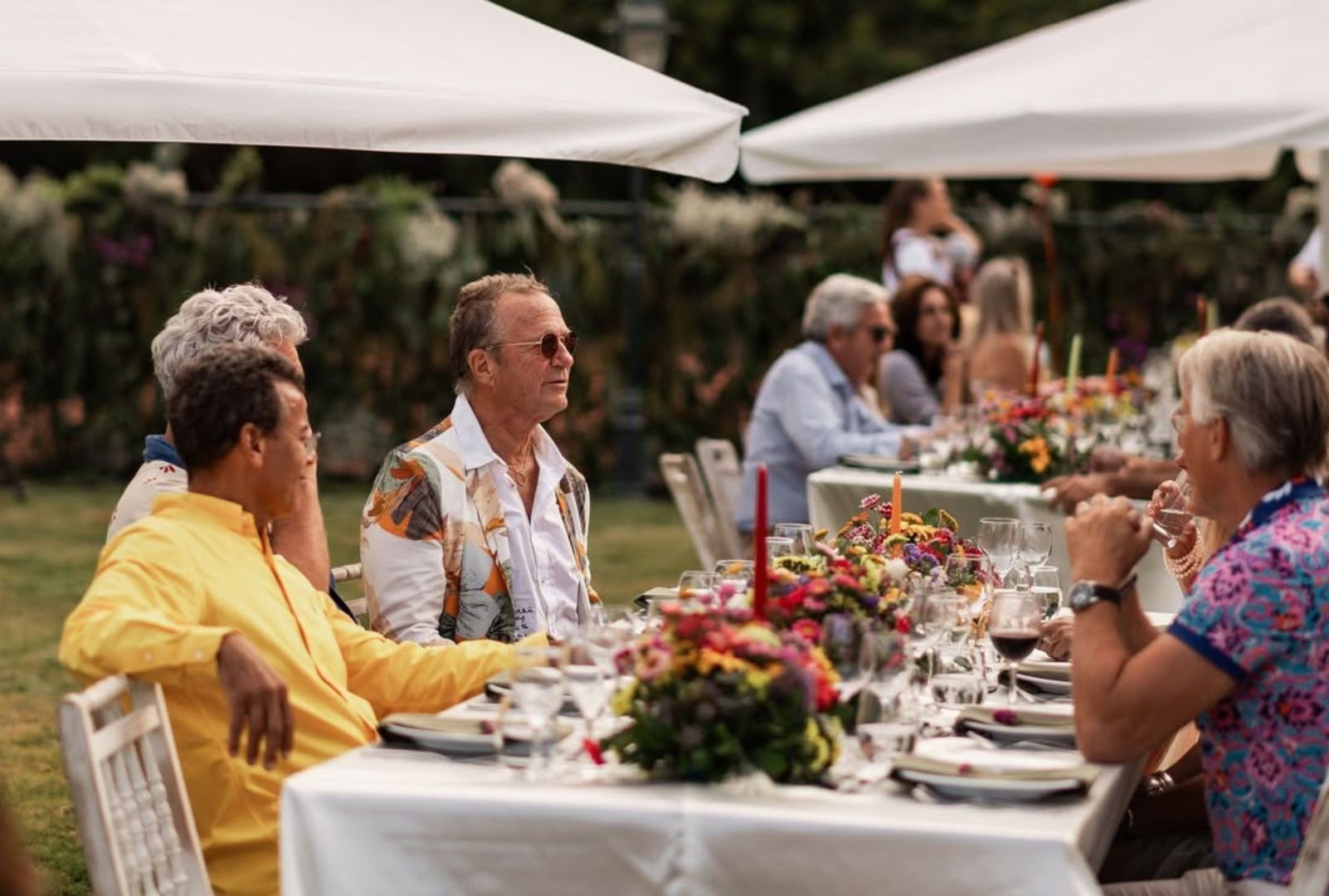 Quinta das Palmeiras: Onde a sofisticação cresce do chão