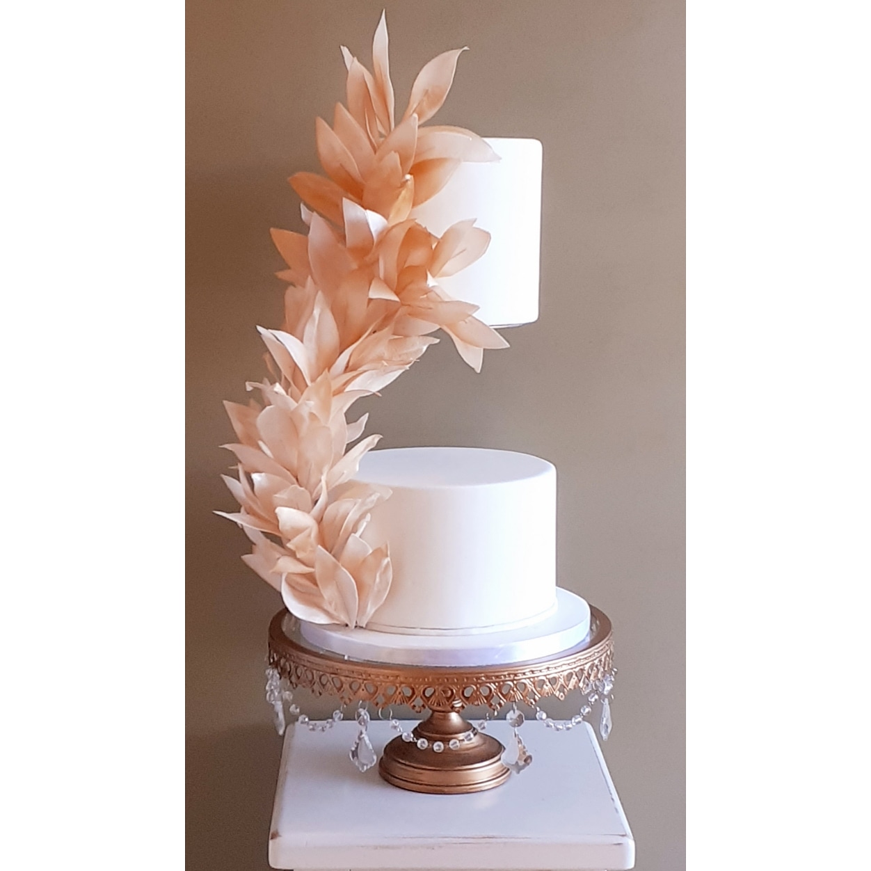 Telma Pedroso Cake Designer