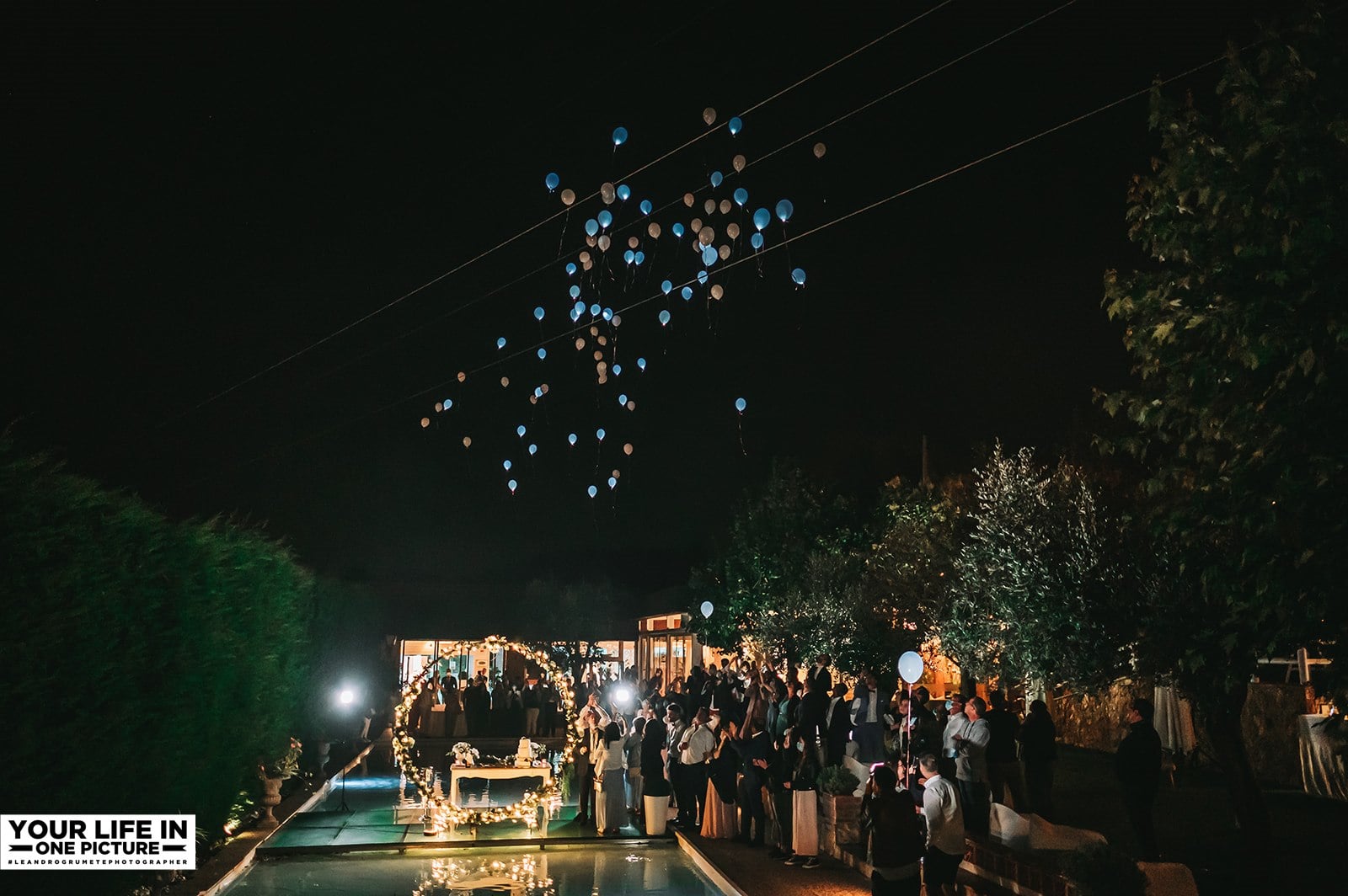 Animação de casamento