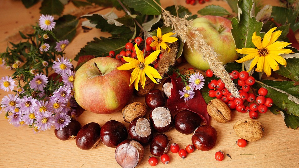 Castanhas, nozes. Foto: Pixabay