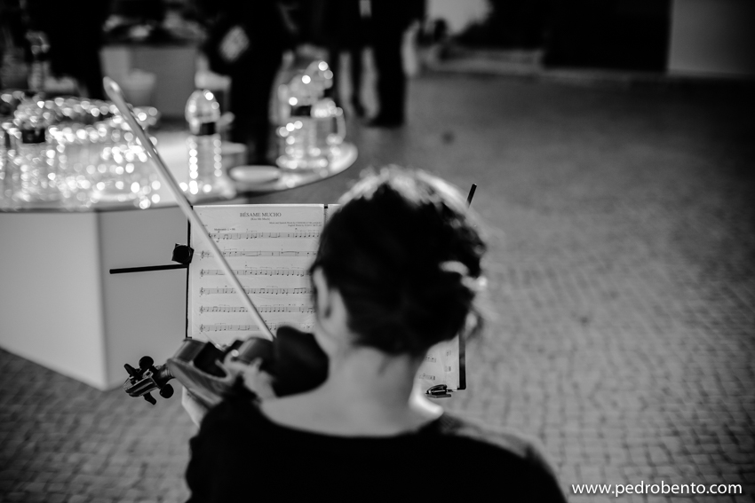 Lucía-violino para eventos