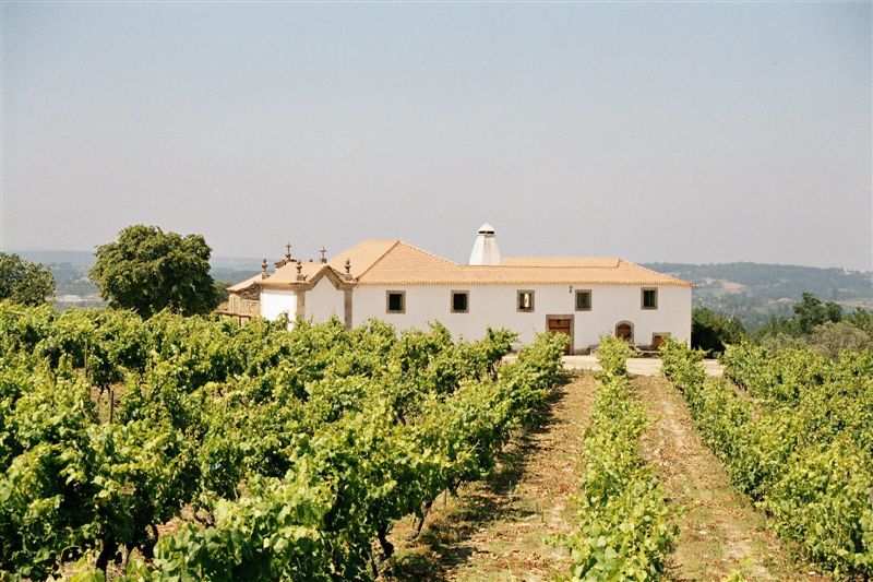 Quinta da Pellada Vinhos