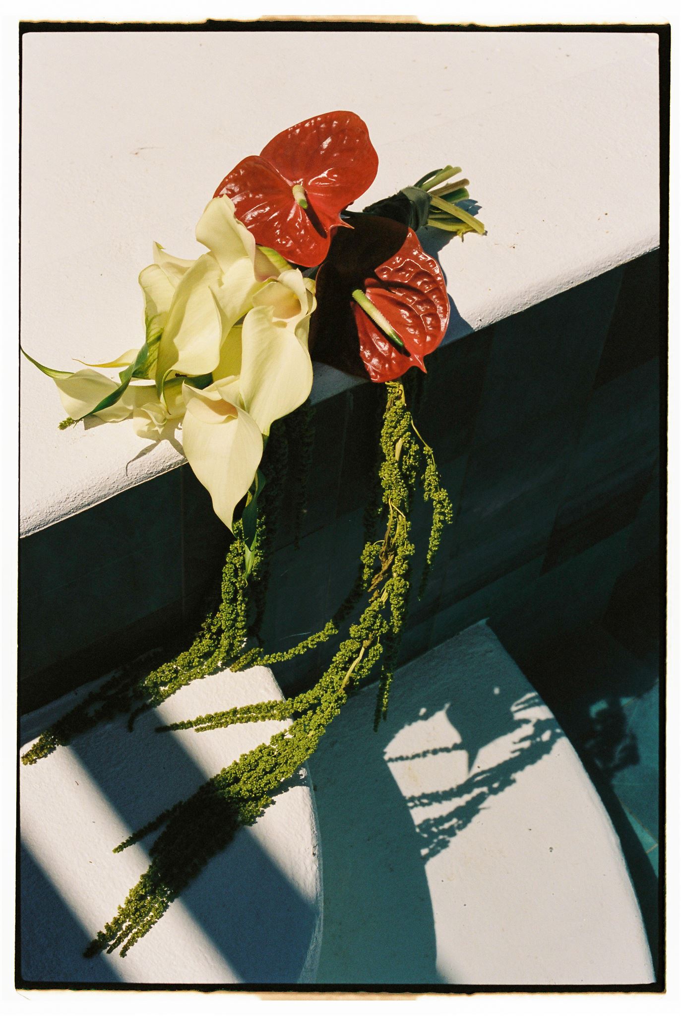 Foto: The Wonder Creative