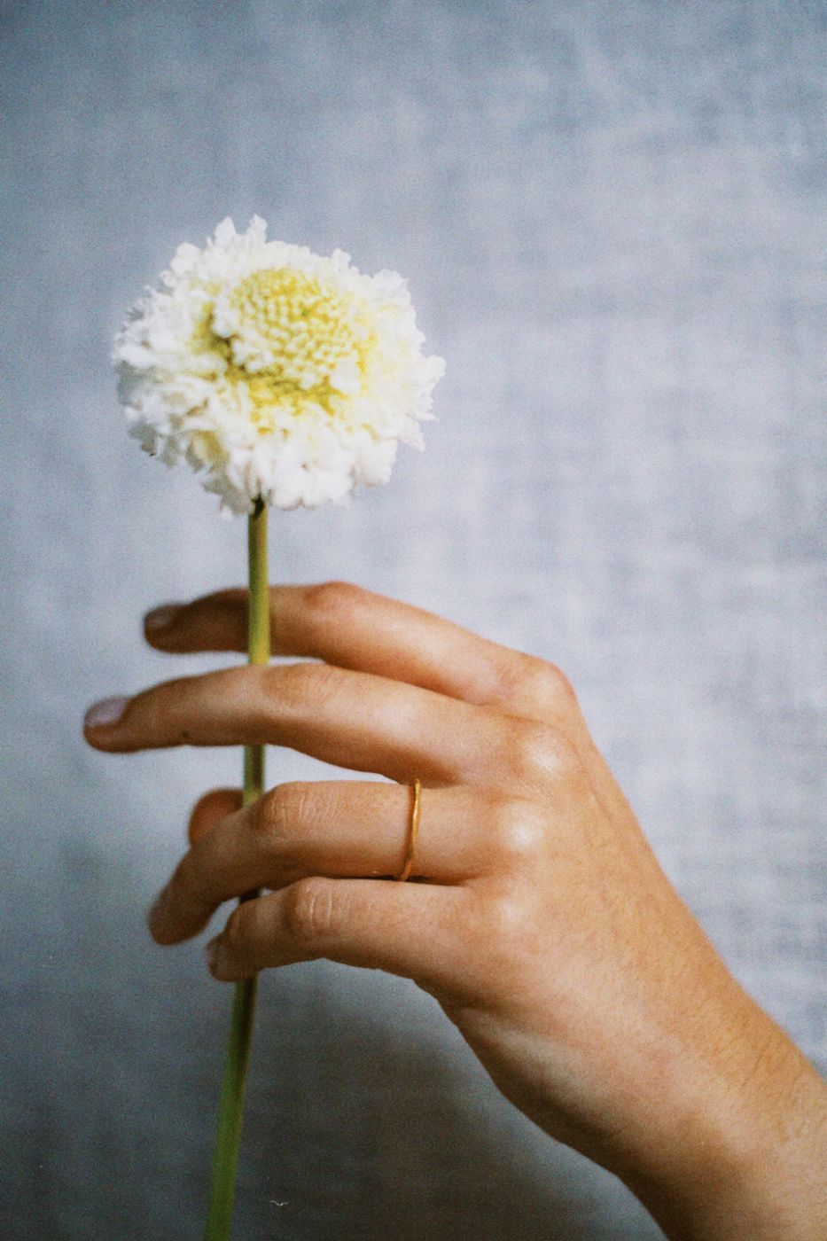 Raquel Poço Jewellery