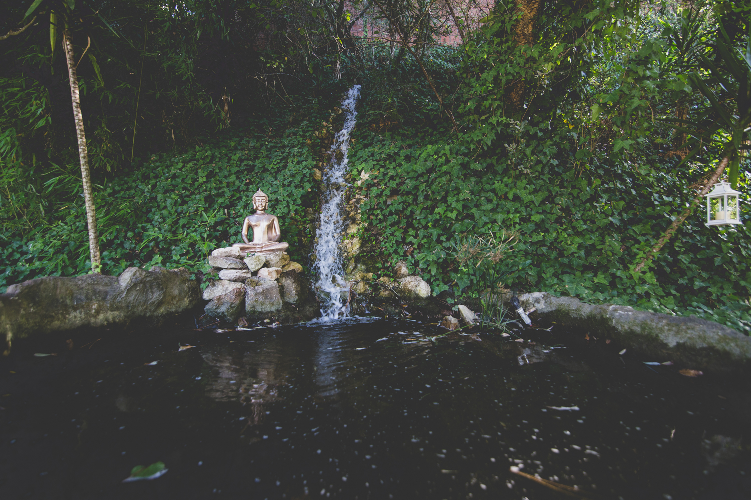 Quinta Fonte da Aranha