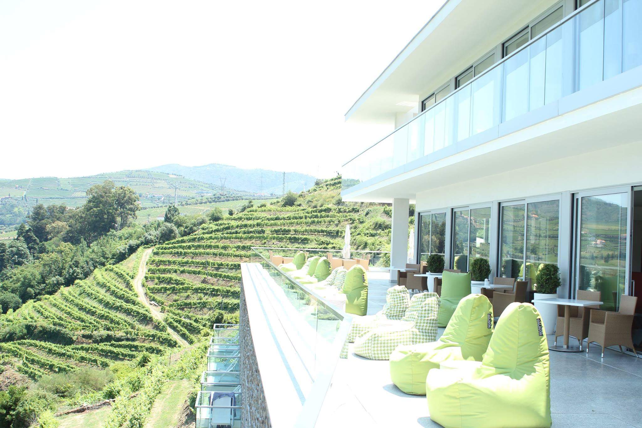 Delfim Douro Hotel