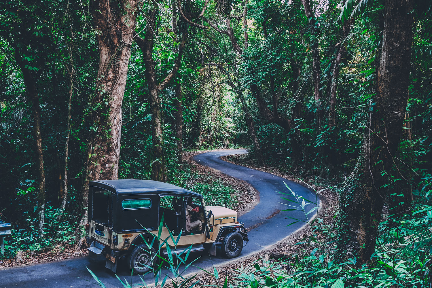 Port Blair, Índia. Créditos: Pinakeen Bhatt via Unsplash