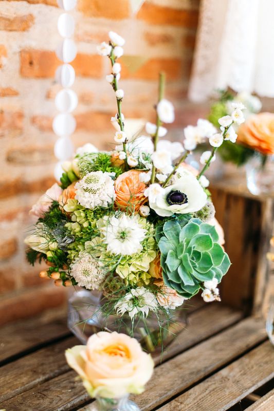 Photo : Studio 8 - Camomille Flowers