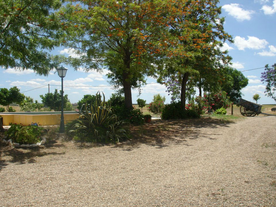 Monte do Guedelha