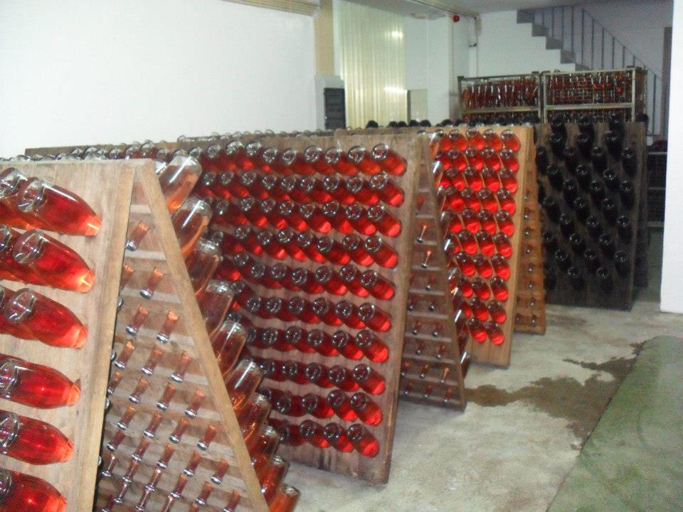 Murganheira - Vinhos
