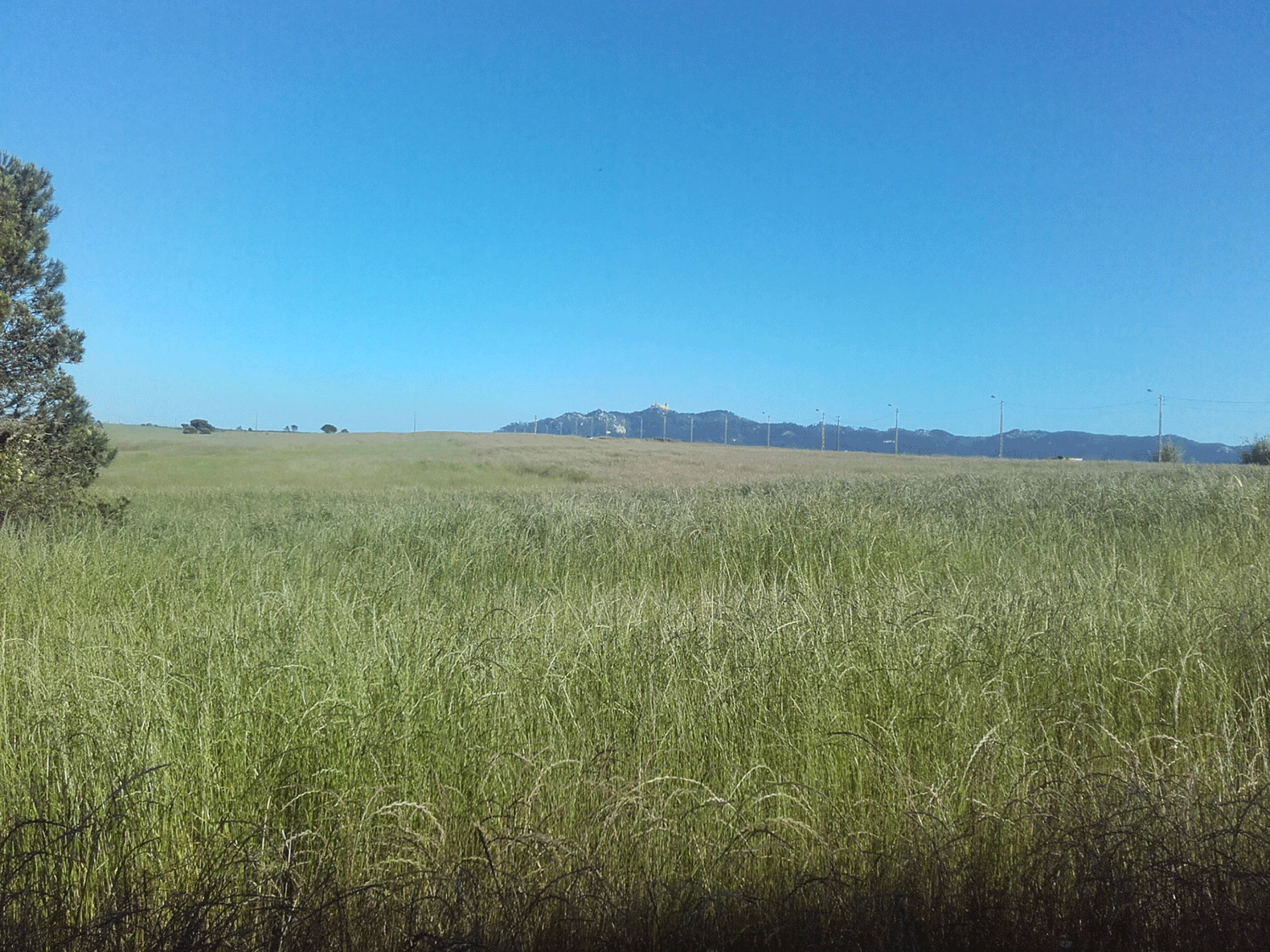 Quinta Nossa Senhora da Serra