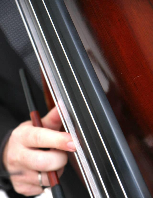 Amar Cordas