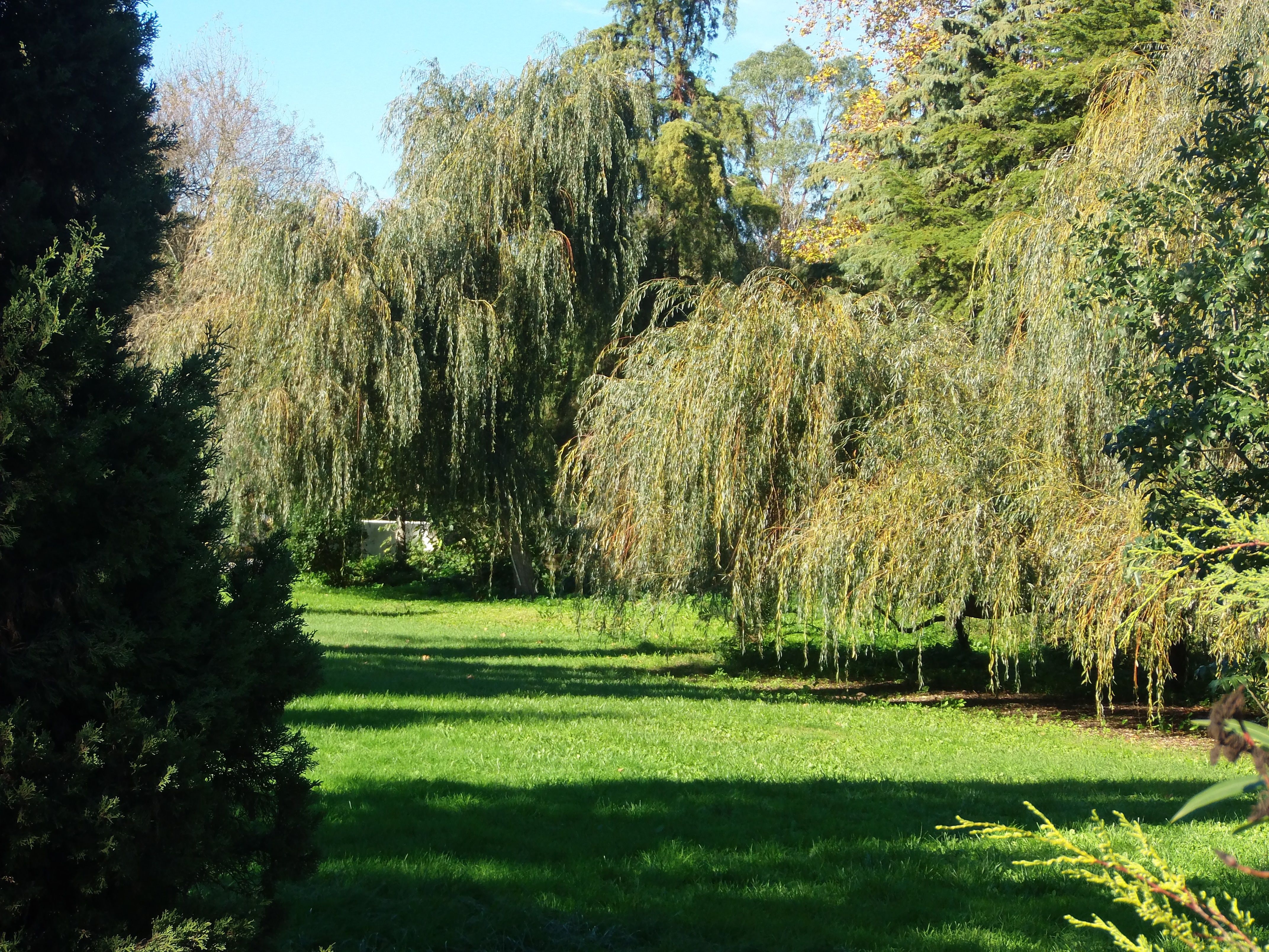 Quinta do Senhor da Serra