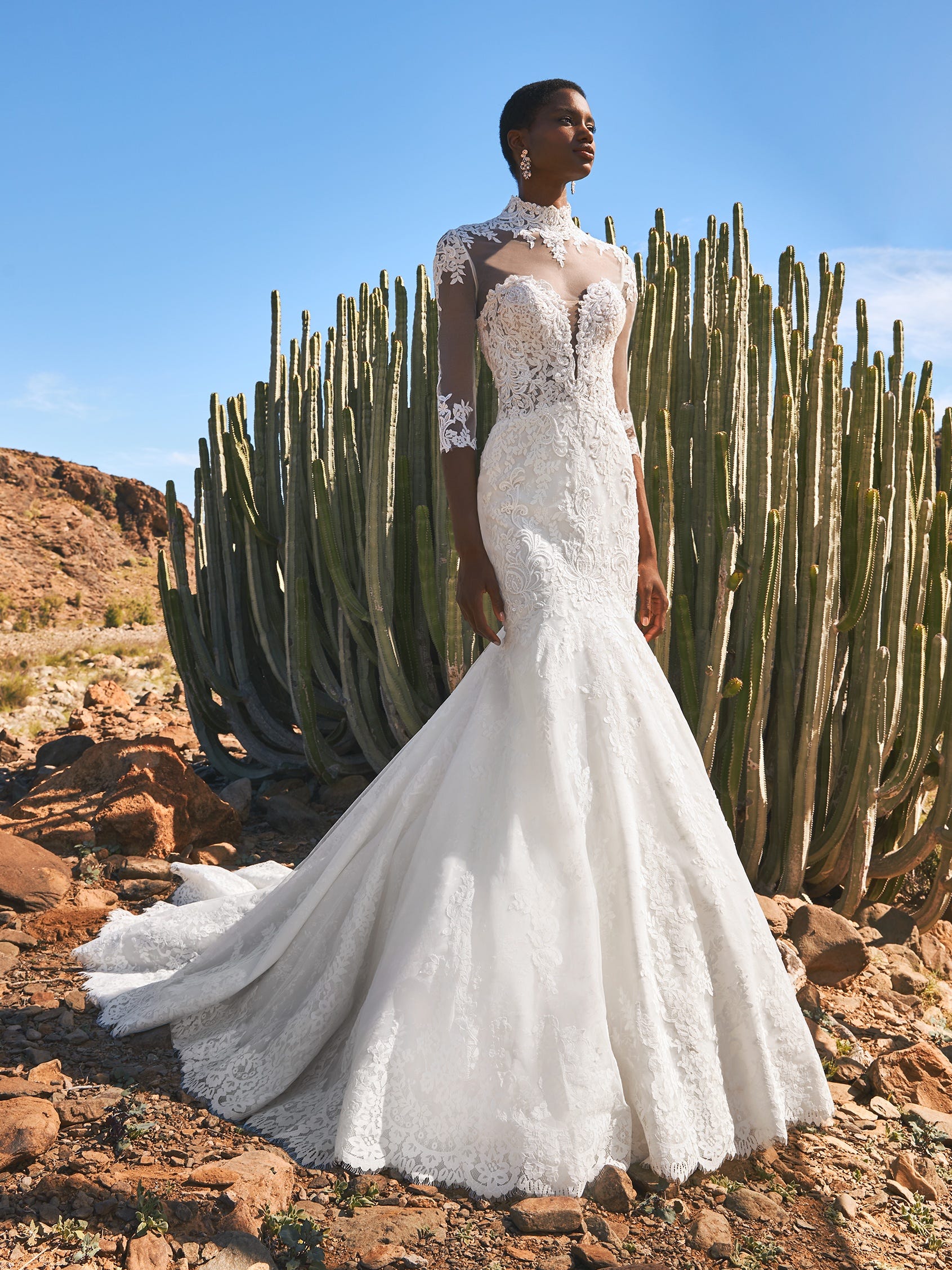 Pronovias (54)