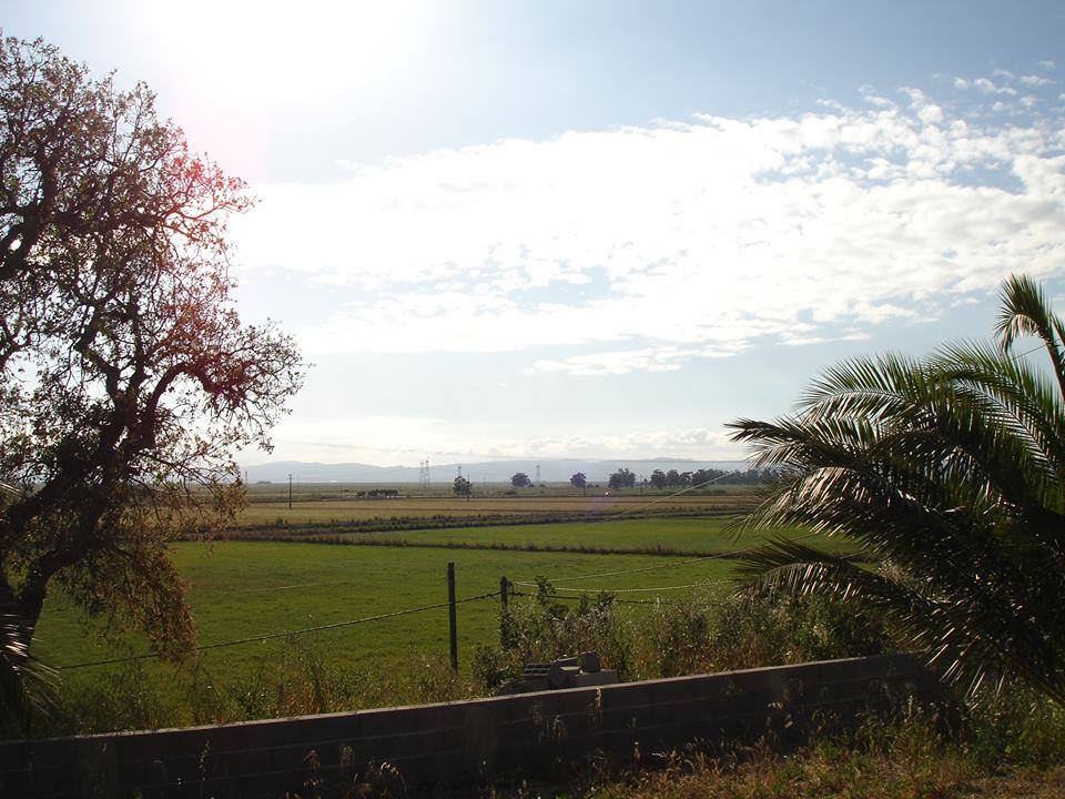 Herdade da Baracha - Casa Oliveira & Irmãos