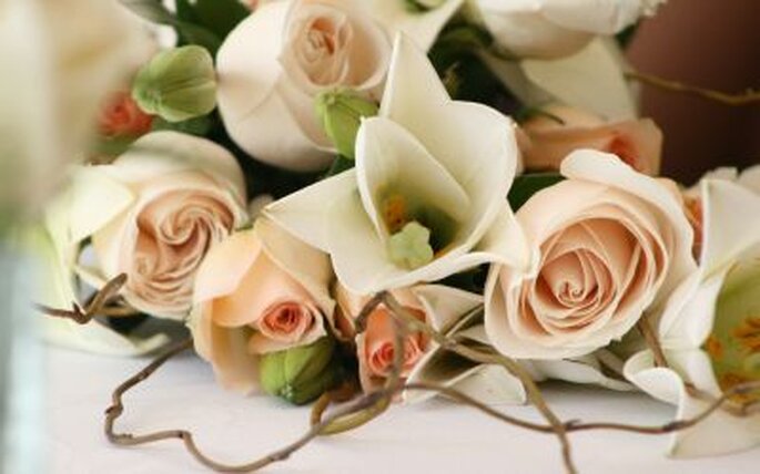 Créditos: Feel Creations - Wedding Photo & Film