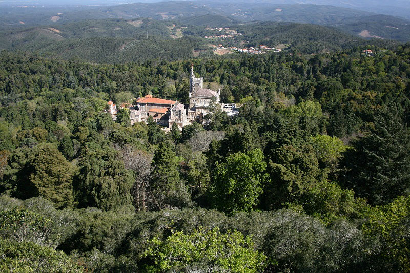 Fundação Mata do Buçaco