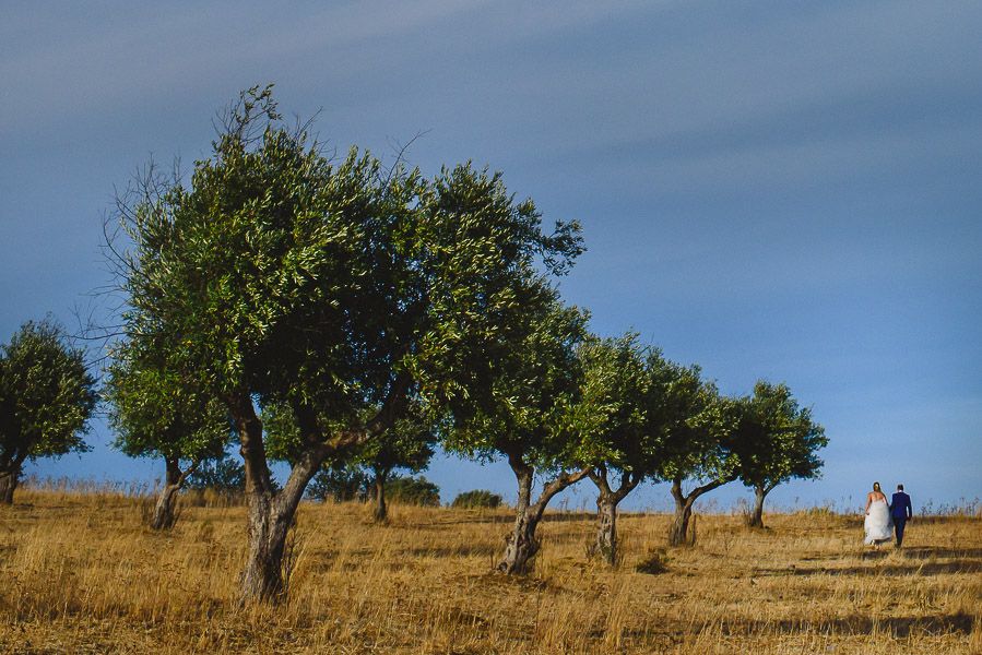 Luis Efigénio Photography