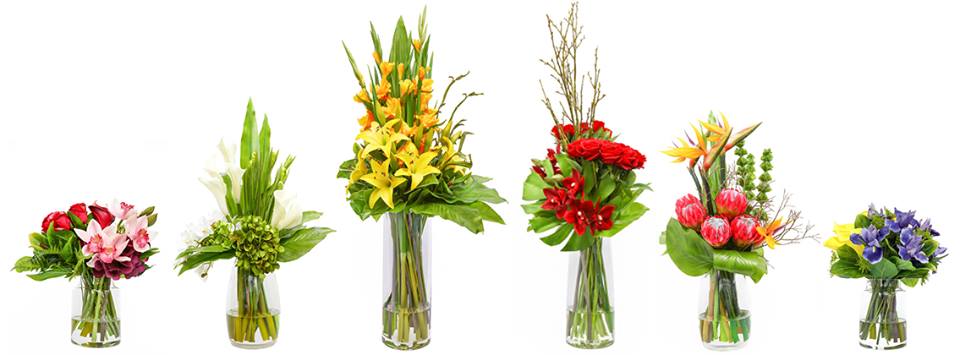 Floral Image
