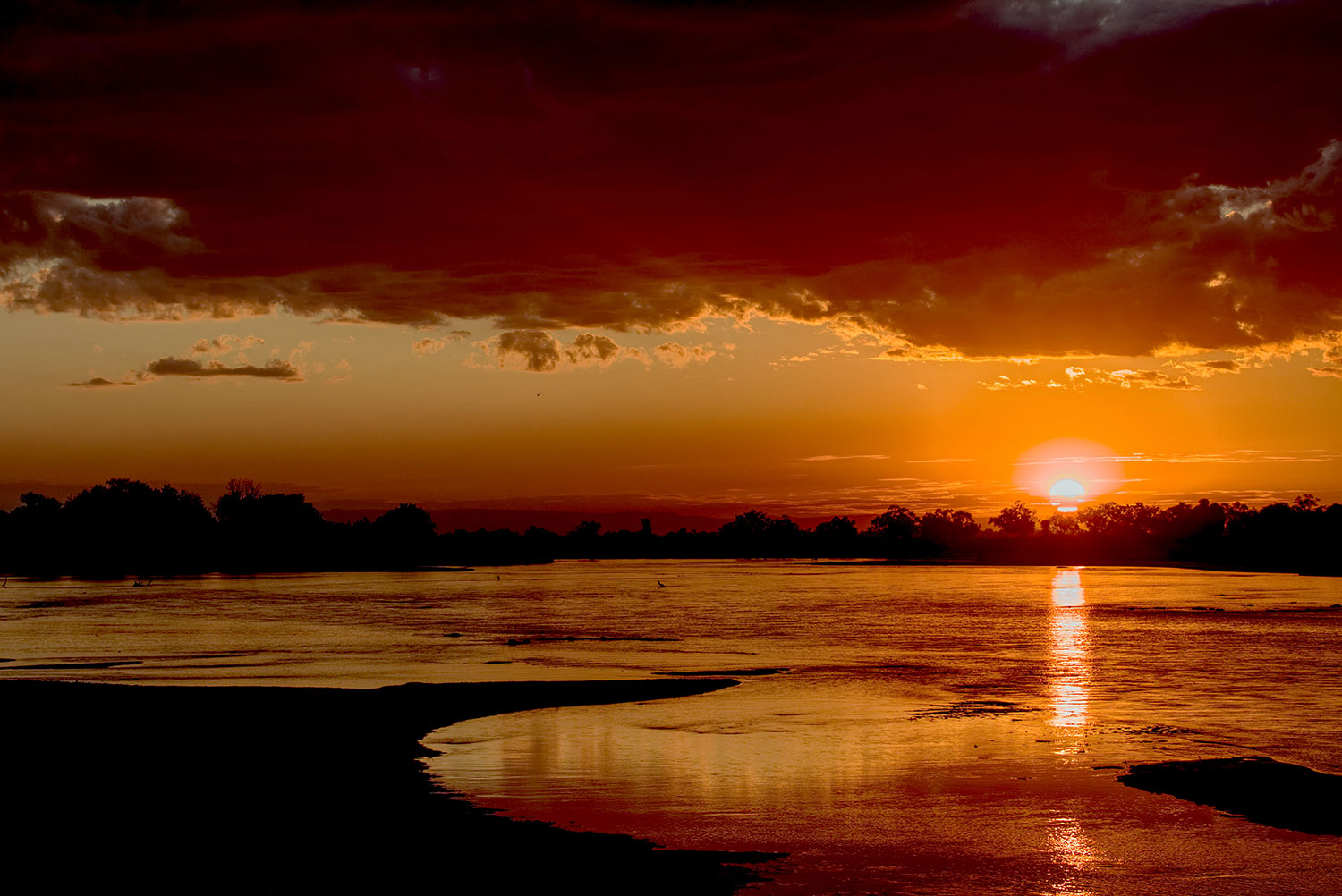 Parque Nacional South Luangwa. Créditos: Ian McGrory via Unsplash