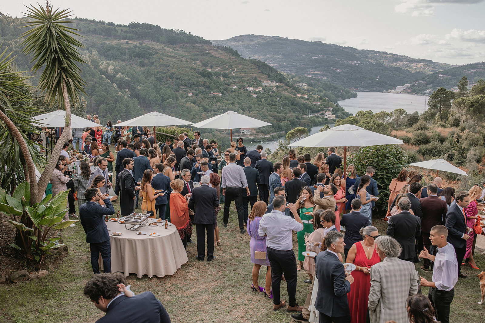 Edgar Leal - New Stories Composer