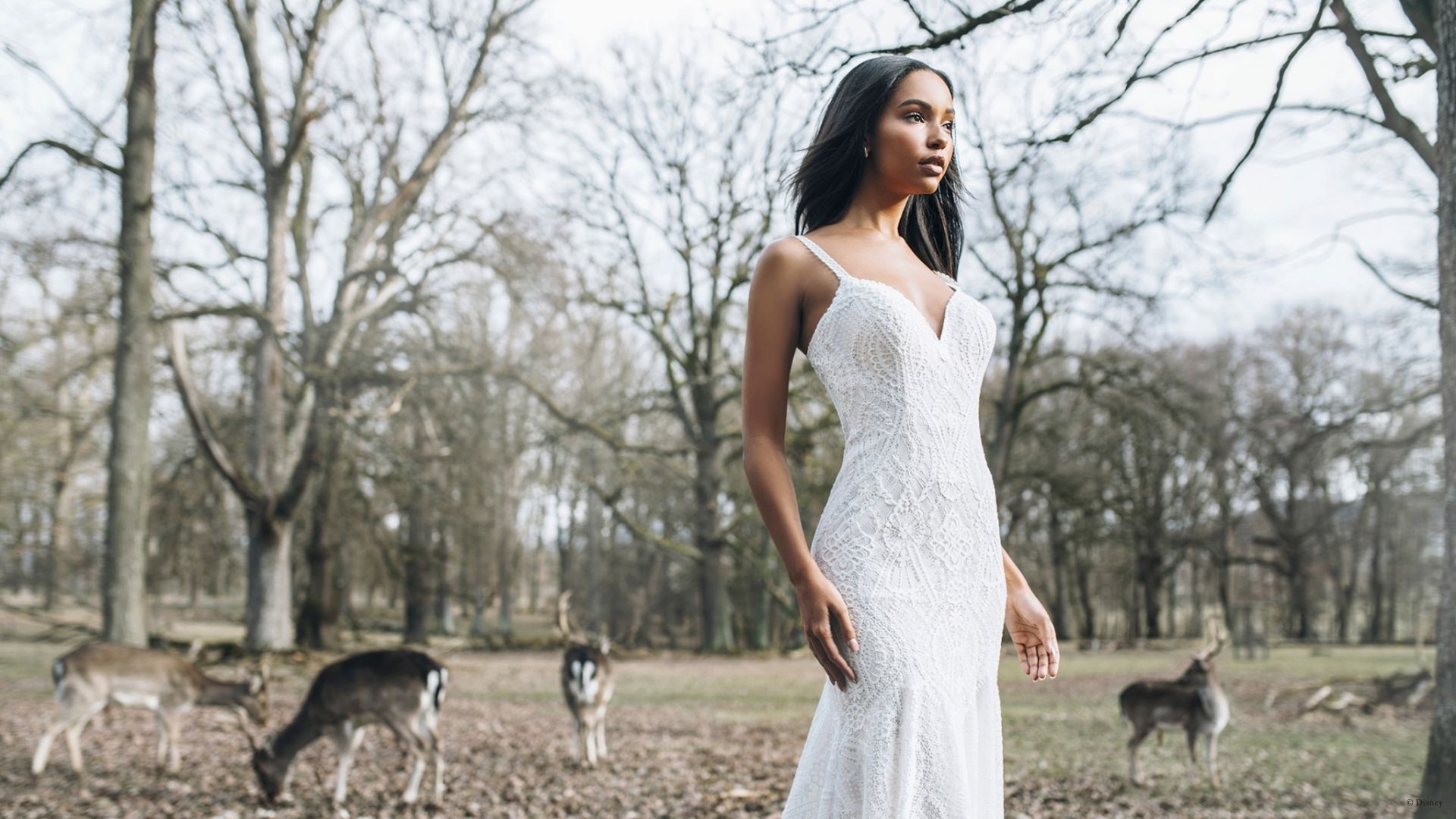 Pocahontas by Allure Bridals | Style: D265 | Créditos: Disney